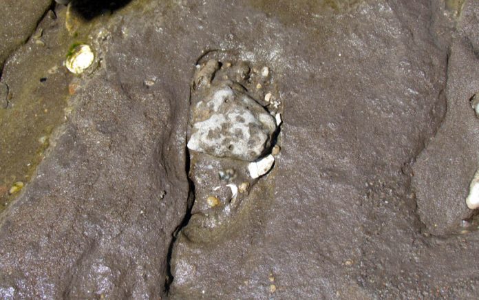 Scientists Discover Human Footprints From Over 20,000 Years Ago