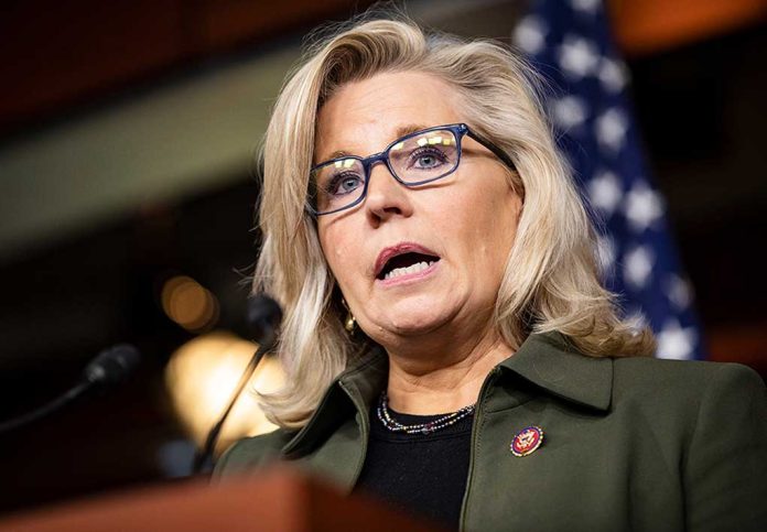 Liz Cheney's Success This Year May Hinge on Democrats