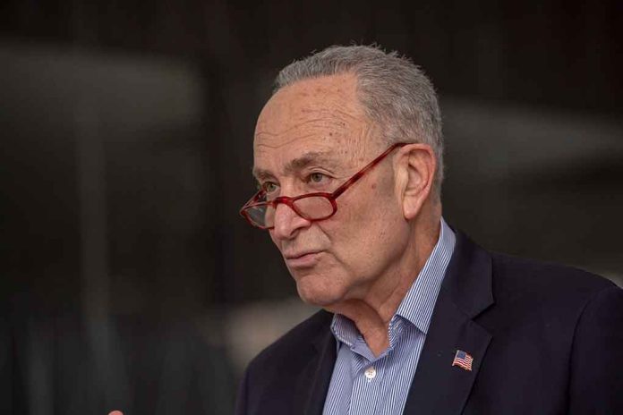 Senate Republicans Tell Schumer The Hyde Amendment Is Here to Stay