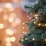 Woman Dies After Being Struck By Falling Christmas Tree