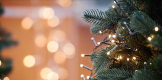 Woman Dies After Being Struck By Falling Christmas Tree