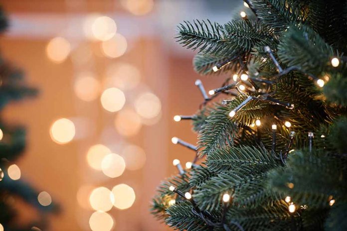 Woman Dies After Being Struck By Falling Christmas Tree