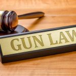 Hawaii Court Issues Gun Rights Ruling