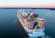 Passenger on Cruise Ship Dies After Going Overboard