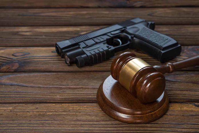 Appeals Court Rules Against Minnesota Gun Rule