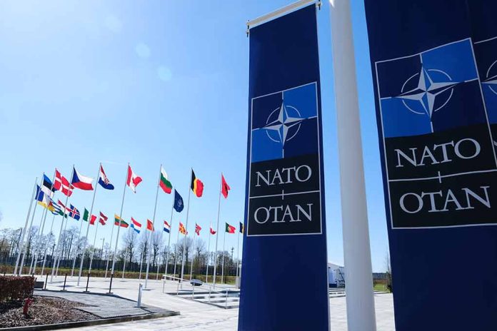 NATO Confirms North Korean Troops Have Been Deployed to Russia