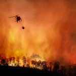 Wildfire
