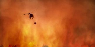 Wildfire
