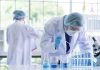 Scientists working in a laboratory with test tubes
