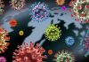 Colorful virus illustrations over a world map