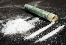 drug empire