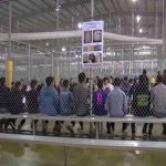 People sitting on benches inside a fenced facility
