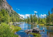 Mountain river landscape with trees and clear blue sky