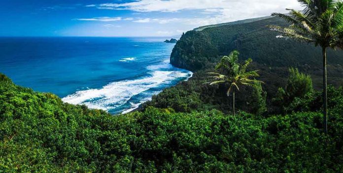 Beautiful coastal landscape with lush greenery and ocean waves