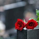 Two red roses on a gravestone