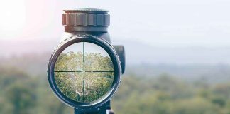 Rifle scope aiming at a distant tree