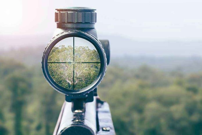 1225045114 Rifle scope aiming at a distant tree