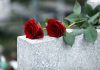 Two red roses on a grave