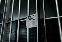 Close up of a locked prison gate with metal bars