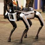AI Robot Says This About Humans… Robotic dog standing on indoor carpeted floor.