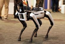 AI Robot Says This About Humans… Robotic dog standing on indoor carpeted floor.