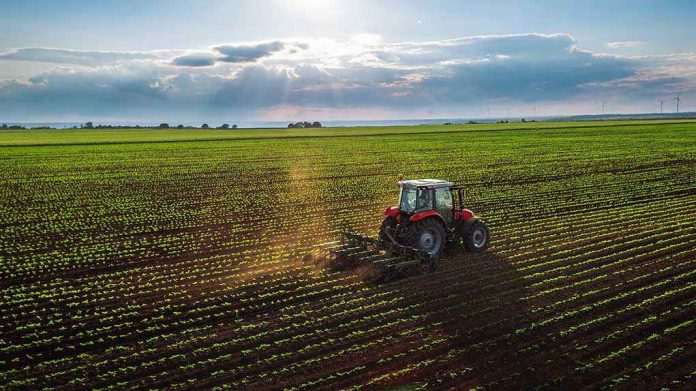 Tractor plowing a vast green field at sunset.