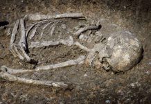 Cannibal Killer’s Release Sparks Nationwide Fury Excavated human skeleton partially embedded in soil