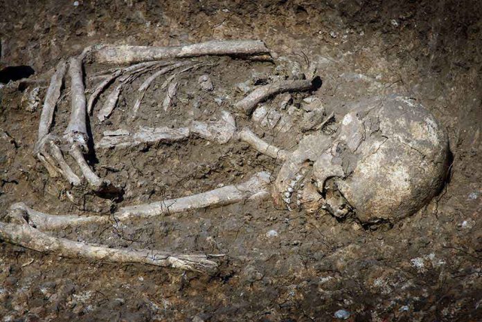 shutterstock_63258787.jpg Excavated human skeleton partially embedded in soil