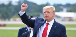 Trump’s Platinum Card Access: $5 Million For U.S. Residency Man in suit raising fist near parked car.