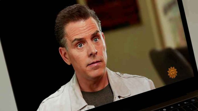 Person on laptop screen during an interview.