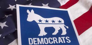 Elizabeth Warren Turns on Democrats Democrats logo on American flag background