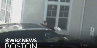 Video shows man pouring gas onto police cruiser in Abington