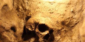 Over 100 Human Skulls FOUND A skull embedded in a rocky surface, illuminated with warm lighting