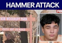 Teen accused of attacking woman with hammer in Plano