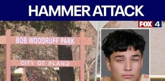 Teen accused of attacking woman with hammer in Plano