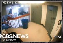 Forensics expert analysis of Jeffrey Epstein jail video