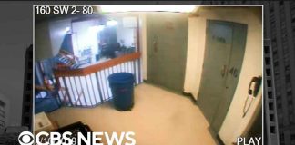 Forensics expert analysis of Jeffrey Epstein jail video