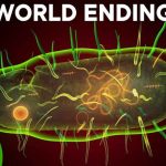 Lab-Made “Mirror” Molecule Punctures Cancer Cells