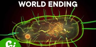 Lab-Made “Mirror” Molecule Punctures Cancer Cells