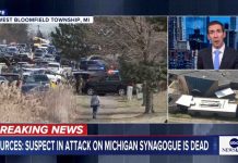 Truck Terror Stopped Dead