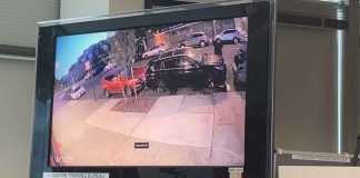 Racetrack Pit Crew BUSTED Stealing Cars Citywide