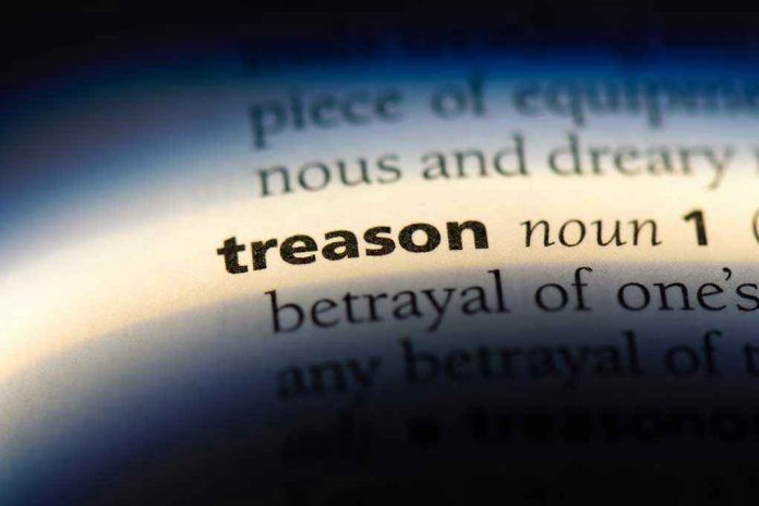 1155306532 The word treason highlighted in a dictionary.