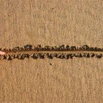 SCOTUS Just Drew A CLEAR LINE In The SAND — FINALLY! Finger drawing line in wet sand beach