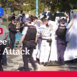 Horror MAULING Shuts POPULAR Beach Woman in critical condition after shark attack at Coogee Beach | ABC NEWS