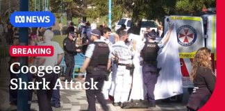 Woman in critical condition after shark attack at Coogee Beach | ABC NEWS