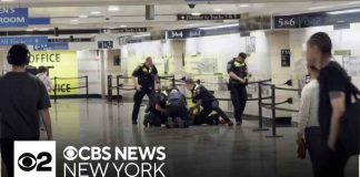 KNICKS EVE Chaos — Six Down, Suspect Nabbed — Now What? Man in custody after 6 people stabbed at Penn Station