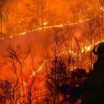Firefighters observing intense forest wildfire at night