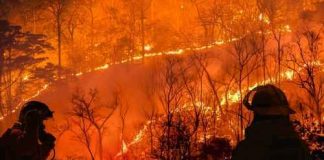 OUT of Control INFERNO Kills 3 — CHILLING DETAILS Firefighters observing intense forest wildfire at night