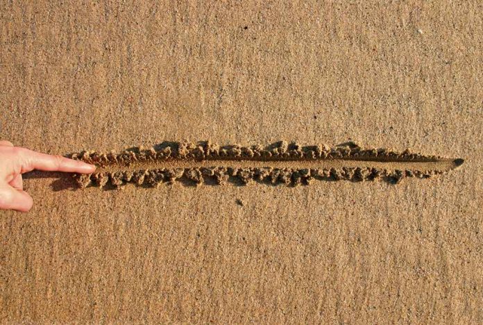 2360943-1 Finger drawing line in wet sand beach