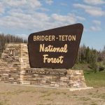 Bridger-Teton National Forest entrance sign on a stone base